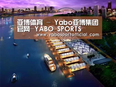案例展示八